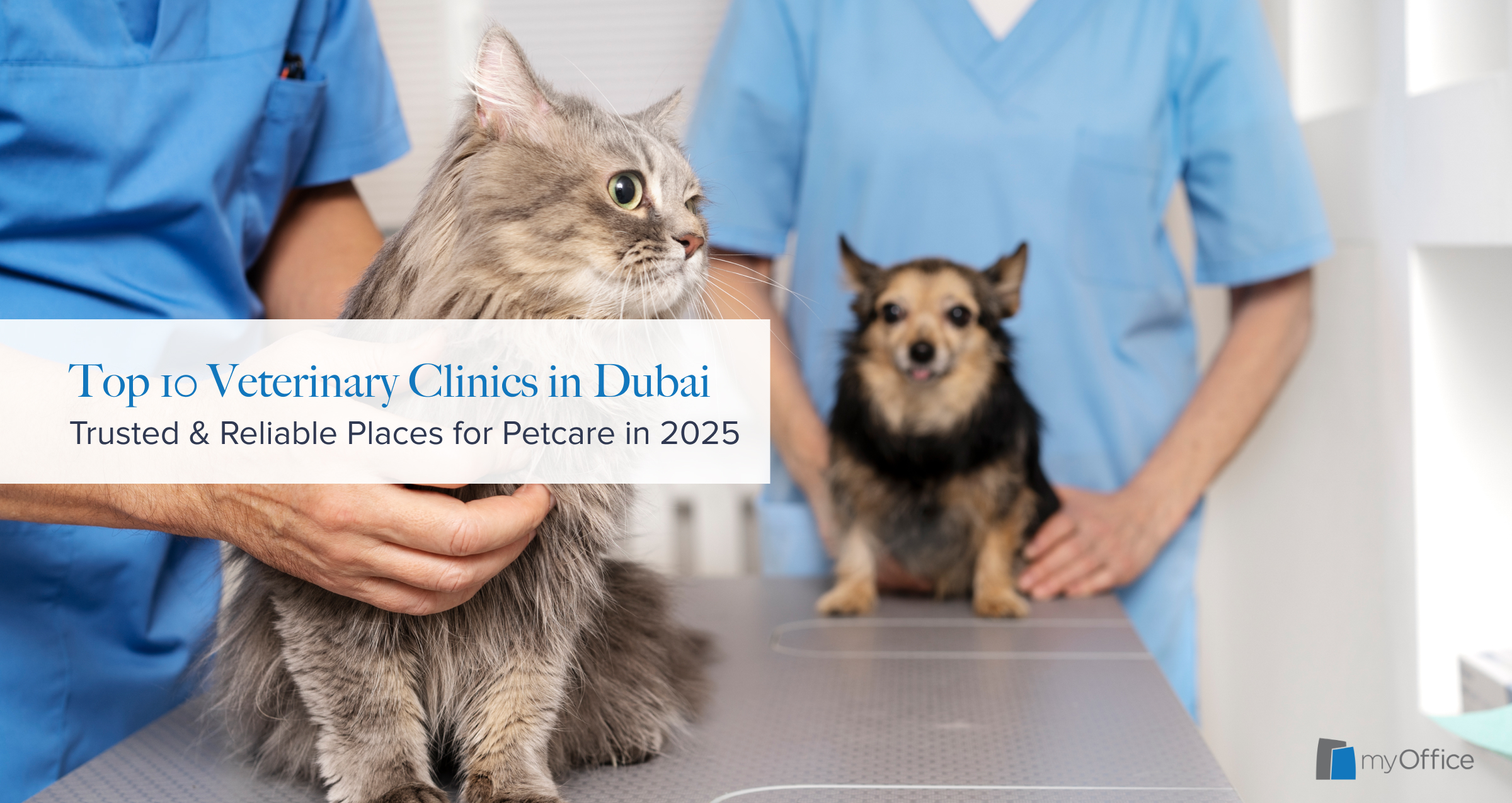 A blog listing the top ten veterinary clinics in Dubai for 2025.